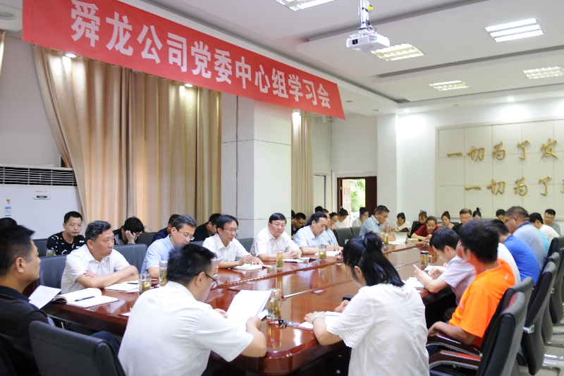 舜龍公司召開“講忠誠、嚴紀律、立政德”專題警示教育動員會